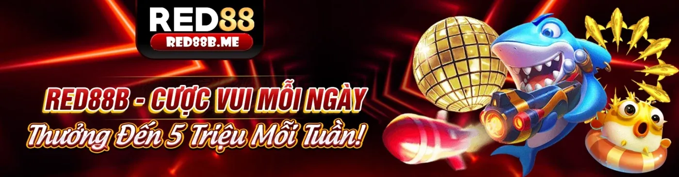 Hình ảnh chính trang blog rl79